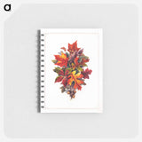 アートメモ帳-Autumn Leaves
 - ボストン公共図書館 Memo.