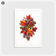 アートポストカード-Autumn Leaves
 - ボストン公共図書館 Postcard.