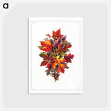 アートポストカード-Autumn Leaves
 - ボストン公共図書館 Postcard.