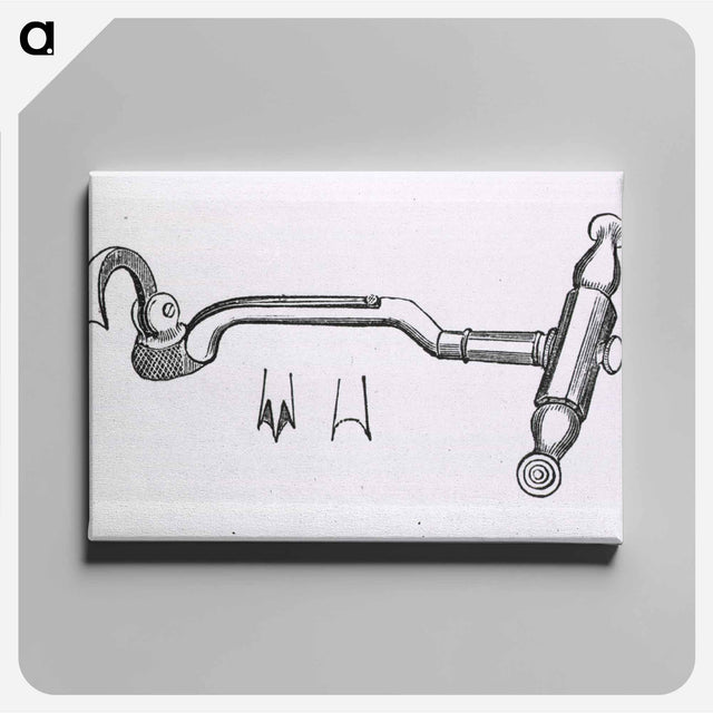 アートパネル-Dental Key
 - 国立医学図書館 Canvas.