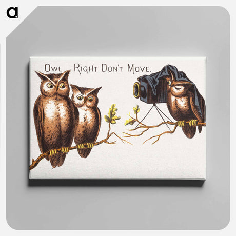 アートパネル-Owl Right Don't Move
 - ボストン公共図書館 Canvas.