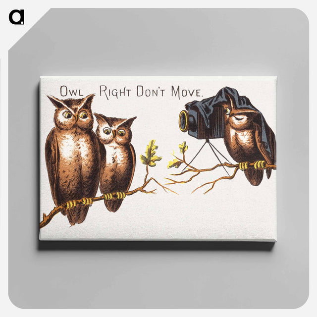 アートパネル-Owl Right Don't Move
 - ボストン公共図書館 Canvas.