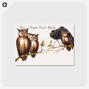 アートポストカード-Owl Right Don't Move
 - ボストン公共図書館 Postcard.