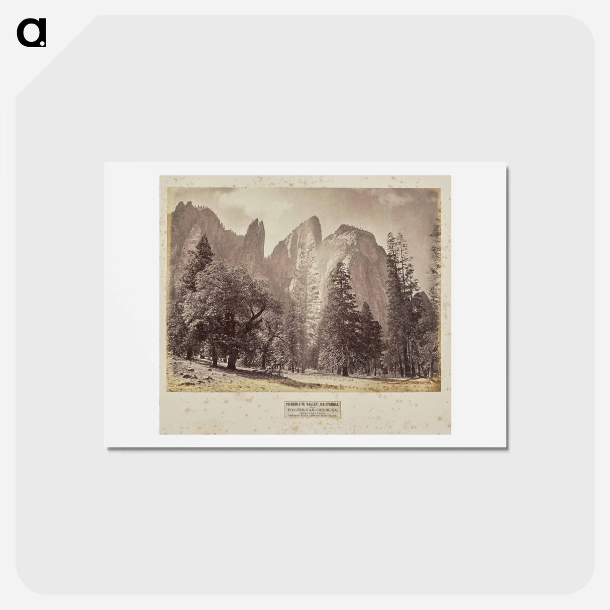 アートポストカード-Yo-Sem-i-te Valley, California
 - エドワード マイブリッジ Postcard.