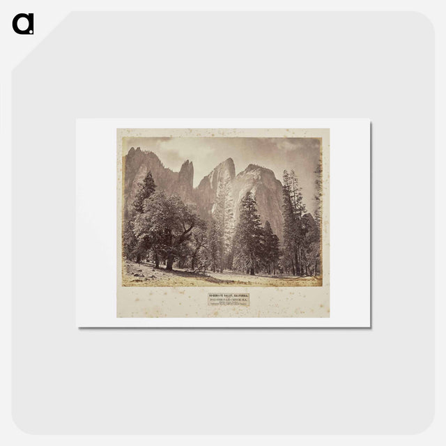 アートポストカード-Yo-Sem-i-te Valley, California
 - エドワード マイブリッジ Postcard.