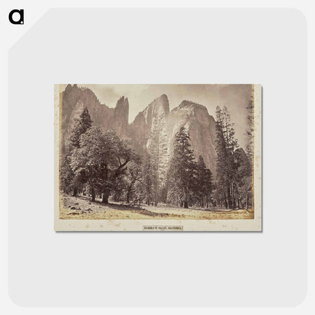 アートポストカード-Yo-Sem-i-te Valley, California
 - エドワード マイブリッジ Postcard.