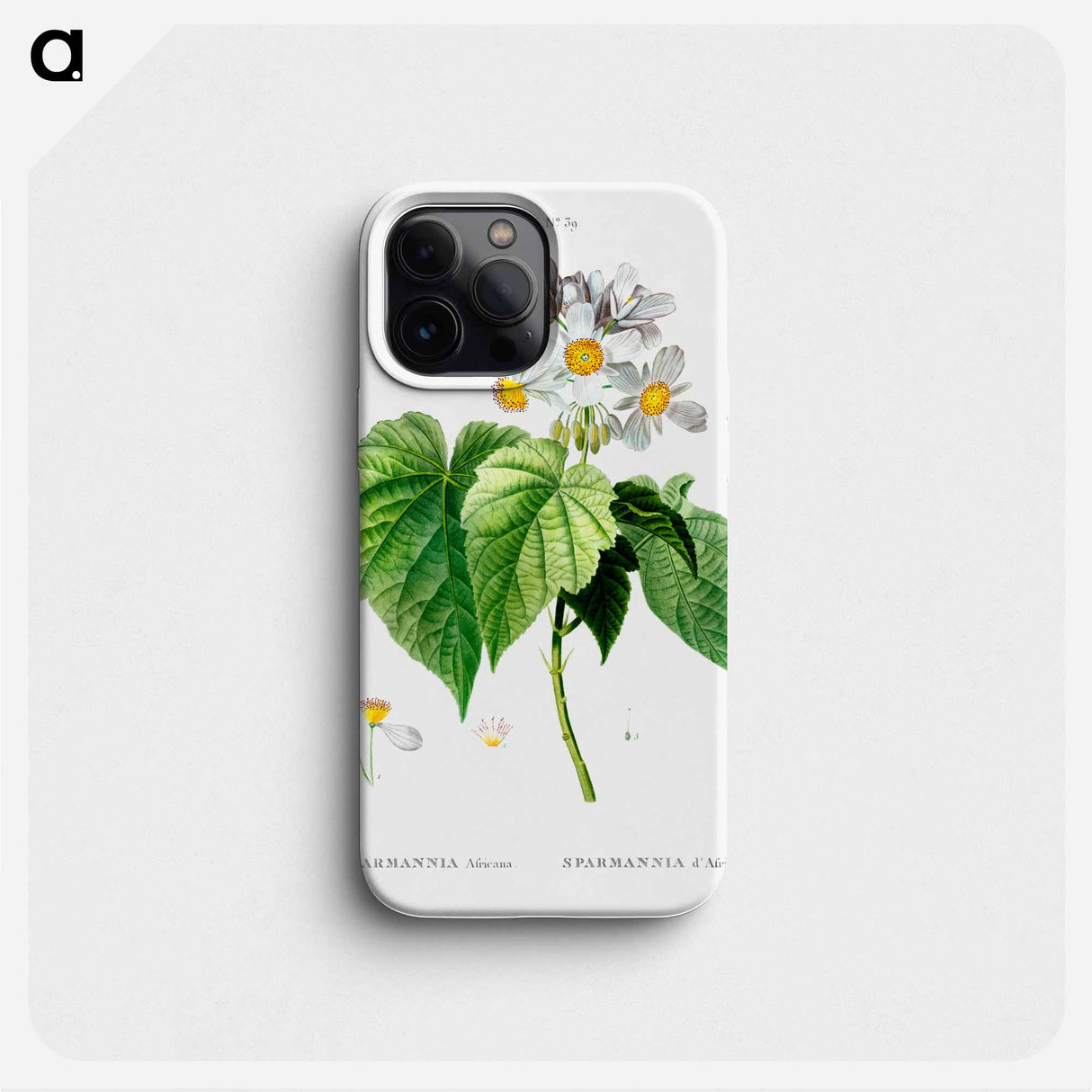 Sparmannia Africana (Sparmannia d'Afrique) - Pierre Joseph Redouté Phone Case.