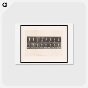 アートポストカード-Naked Man Walking
 - エドワード マイブリッジ Postcard.