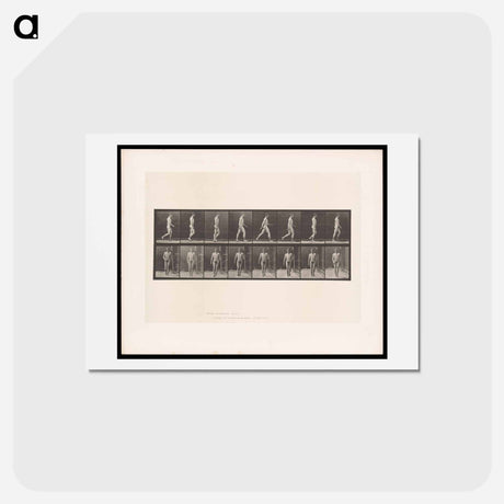 アートポストカード-Naked Man Walking
 - エドワード マイブリッジ Postcard.
