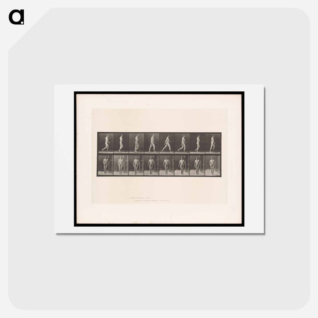 アートポストカード-Naked Man Walking
 - エドワード マイブリッジ Postcard.