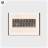 アートポストカード-Naked Man Walking
 - エドワード マイブリッジ Postcard.