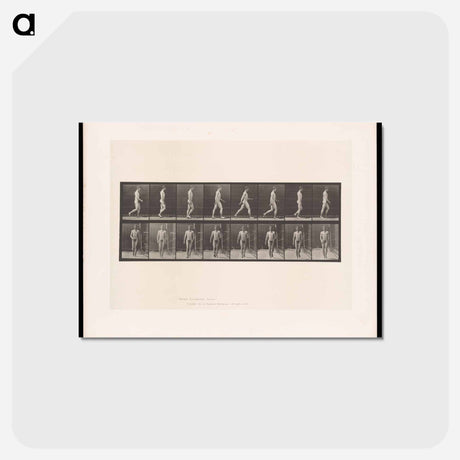 アートポストカード-Naked Man Walking
 - エドワード マイブリッジ Postcard.