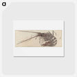アートポストカード-Hokusai's Large Lobster - 葛飾 北斎 Postcard.