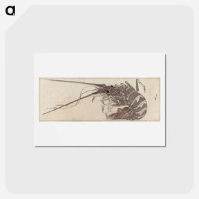 アートポストカード-Hokusai's Large Lobster - 葛飾 北斎 Postcard.
