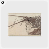アートポストカード-Hokusai's Large Lobster - 葛飾 北斎 Postcard.