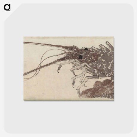 アートポストカード-Hokusai's Large Lobster - 葛飾 北斎 Postcard.