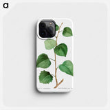 Aspen - Pierre Joseph Redouté Phone Case.