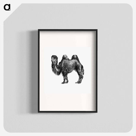 アートポスター-Camel Engraving from Woodland Romances
 - 大英図書館 Poster.