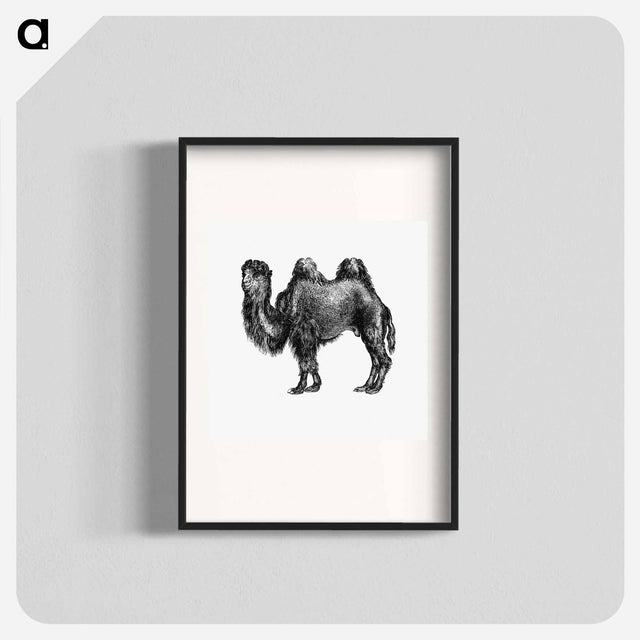 アートポスター-Camel Engraving from Woodland Romances
 - 大英図書館 Poster.