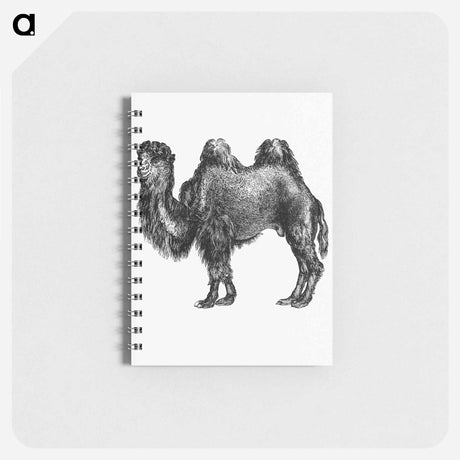 アートメモ帳-Camel Engraving from Woodland Romances
 - 大英図書館 Memo.