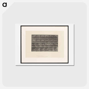 アートポストカード-Jumping Horse
 - エドワード マイブリッジ Postcard.