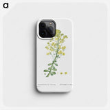 Sempervivum Arboreum (Tree Houseleek) - Pierre Joseph Redouté Phone Case.