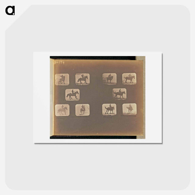 アートポストカード-Running
 - エドワード マイブリッジ Postcard.