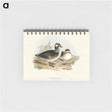 アートメモ帳-Pygmy Goose
 - オーストラリアの鳥 Memo.