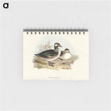 アートメモ帳-Pygmy Goose
 - オーストラリアの鳥 Memo.