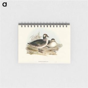 アートメモ帳-Pygmy Goose
 - オーストラリアの鳥 Memo.