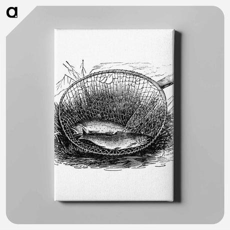 アートパネル-Fishes Caught on a Net
 - 大英図書館 Canvas.