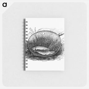 アートメモ帳-Fishes Caught on a Net
 - 大英図書館 Memo.