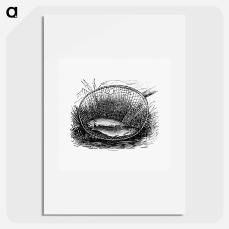 アートポスター-Fishes Caught on a Net
 - 大英図書館 Poster.