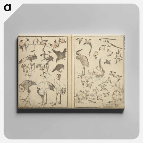 アートパネル-Random sketches by Hokusai volumes 1 to 11 - 葛飾 北斎 Canvas.
