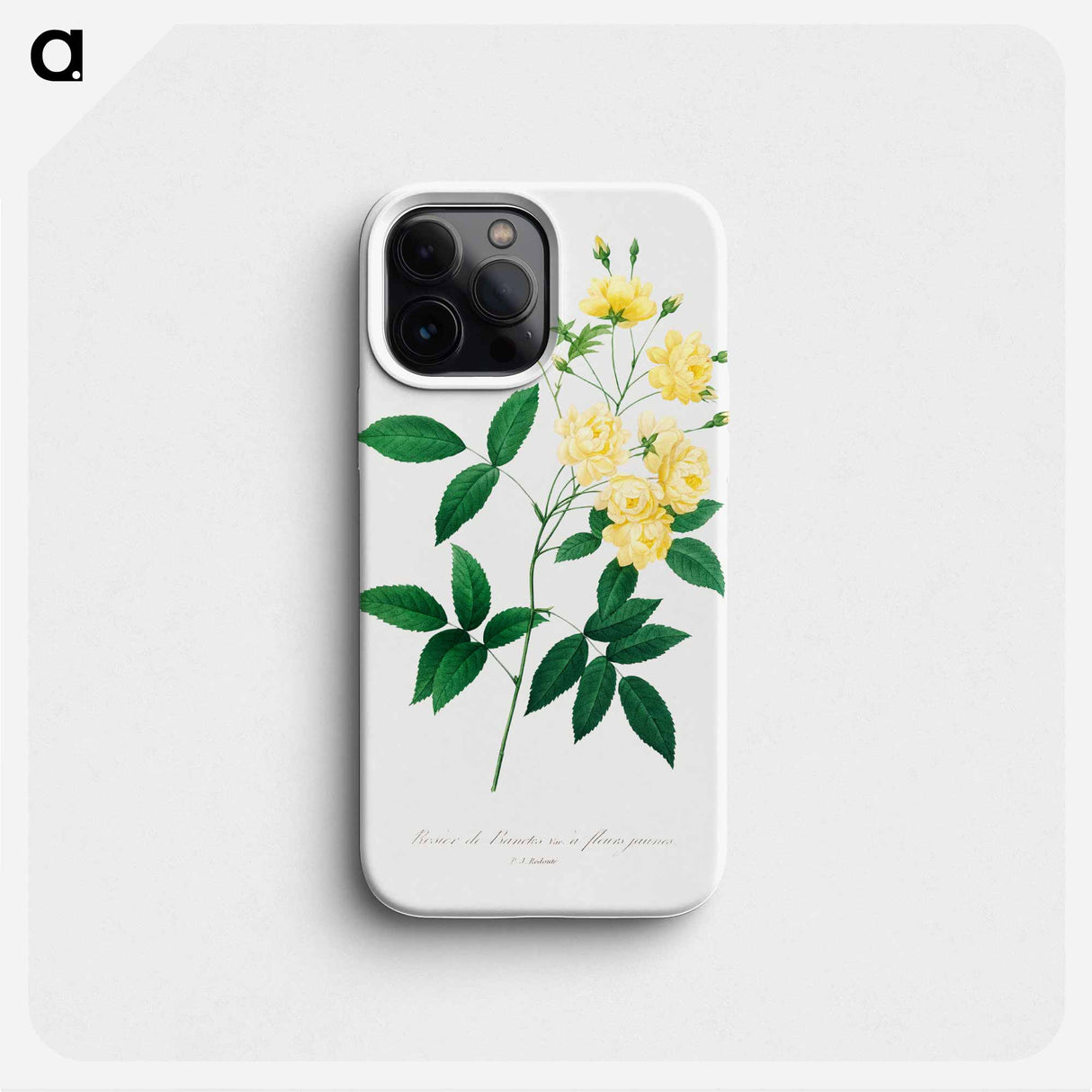 Lady bank's rose - ピエール ジョゼフ ルドゥーテ Phone Case.