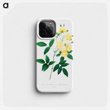 Lady bank's rose - Pierre Joseph Redouté Phone Case.