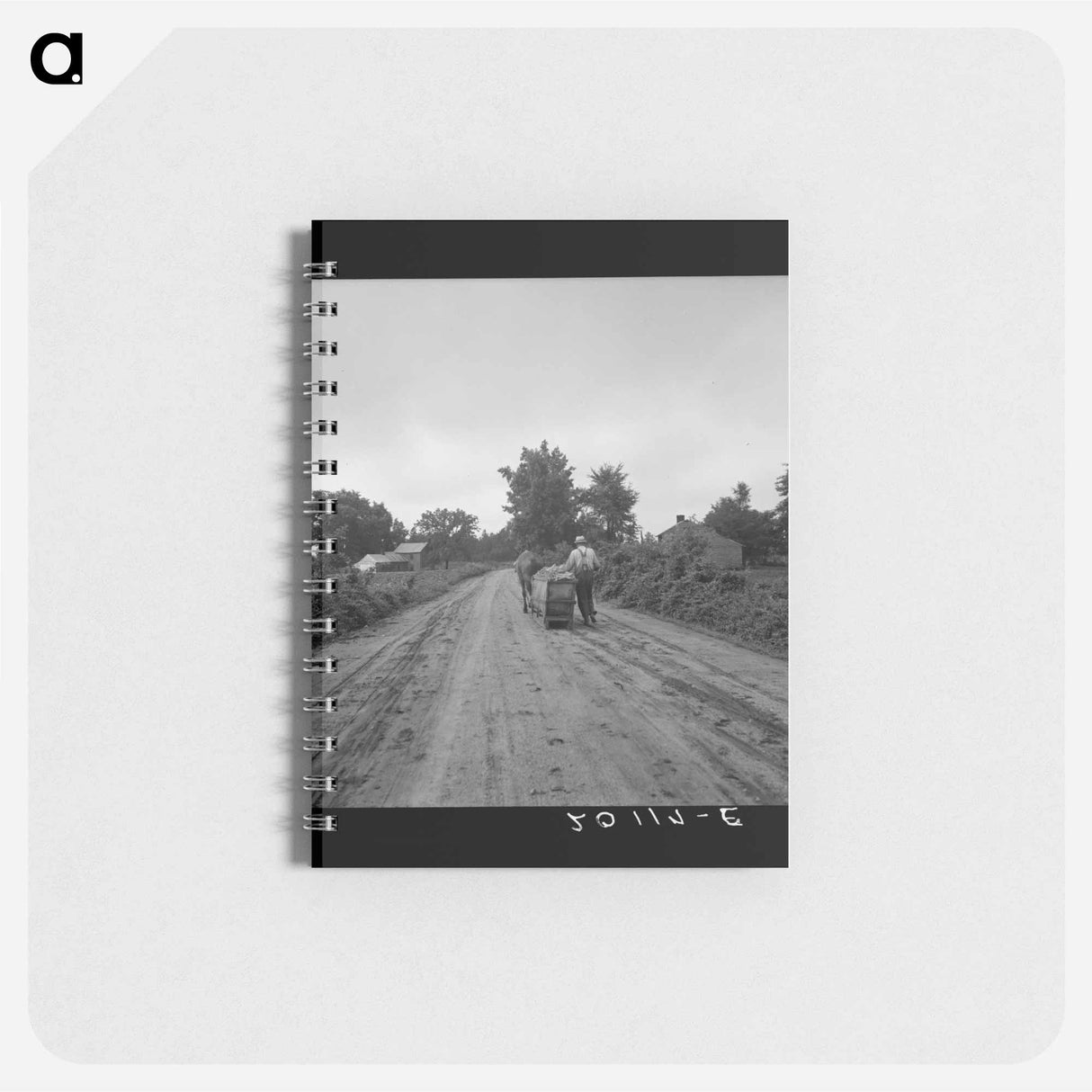 Mr. Taylor and wage laborer slide the tobacco to barn from the field, about quarter of a mile. Granville County, North Carolina. Sourced from the Library of Congress. - ドロテア ラング Memo.