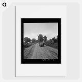 Mr. Taylor and wage laborer slide the tobacco to barn from the field, about quarter of a mile. Granville County, North Carolina. Sourced from the Library of Congress. - ドロテア ラング Poster.