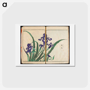 アートポストカード-Transmitting the Spirit and Revealing the Form of Things: Hokusai's Garden of Pictures - 葛飾 北斎 Postcard.