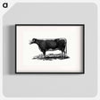 アートポスター-Cow Illustration
 - 大英図書館 Poster.