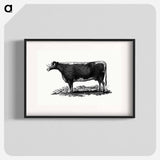 アートポスター-Cow Illustration
 - 大英図書館 Poster.