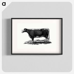 アートポスター-Cow Illustration
 - 大英図書館 Poster.
