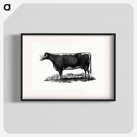 アートポスター-Cow Illustration
 - 大英図書館 Poster.