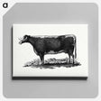 アートパネル-Cow Illustration
 - 大英図書館 Canvas.