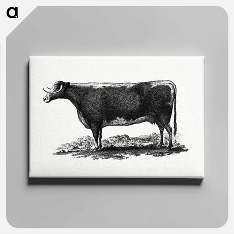 アートパネル-Cow Illustration
 - 大英図書館 Canvas.