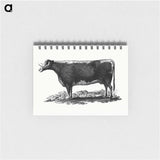 アートメモ帳-Cow Illustration
 - 大英図書館 Memo.