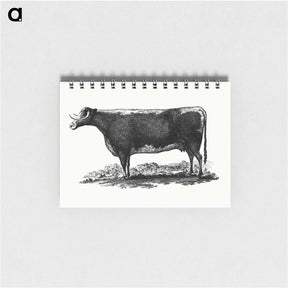 アートメモ帳-Cow Illustration
 - 大英図書館 Memo.