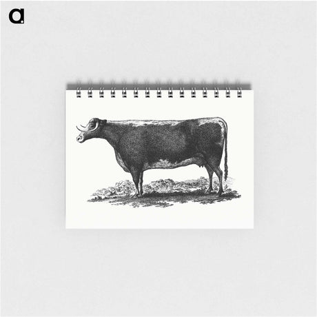 アートメモ帳-Cow Illustration
 - 大英図書館 Memo.