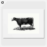 アートポスター-Cow Illustration
 - 大英図書館 Poster.