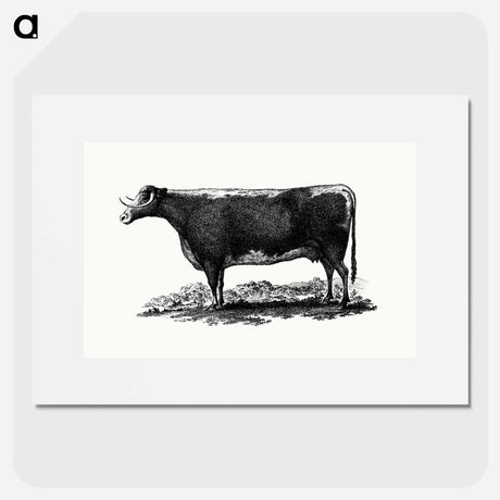 アートポスター-Cow Illustration
 - 大英図書館 Poster.